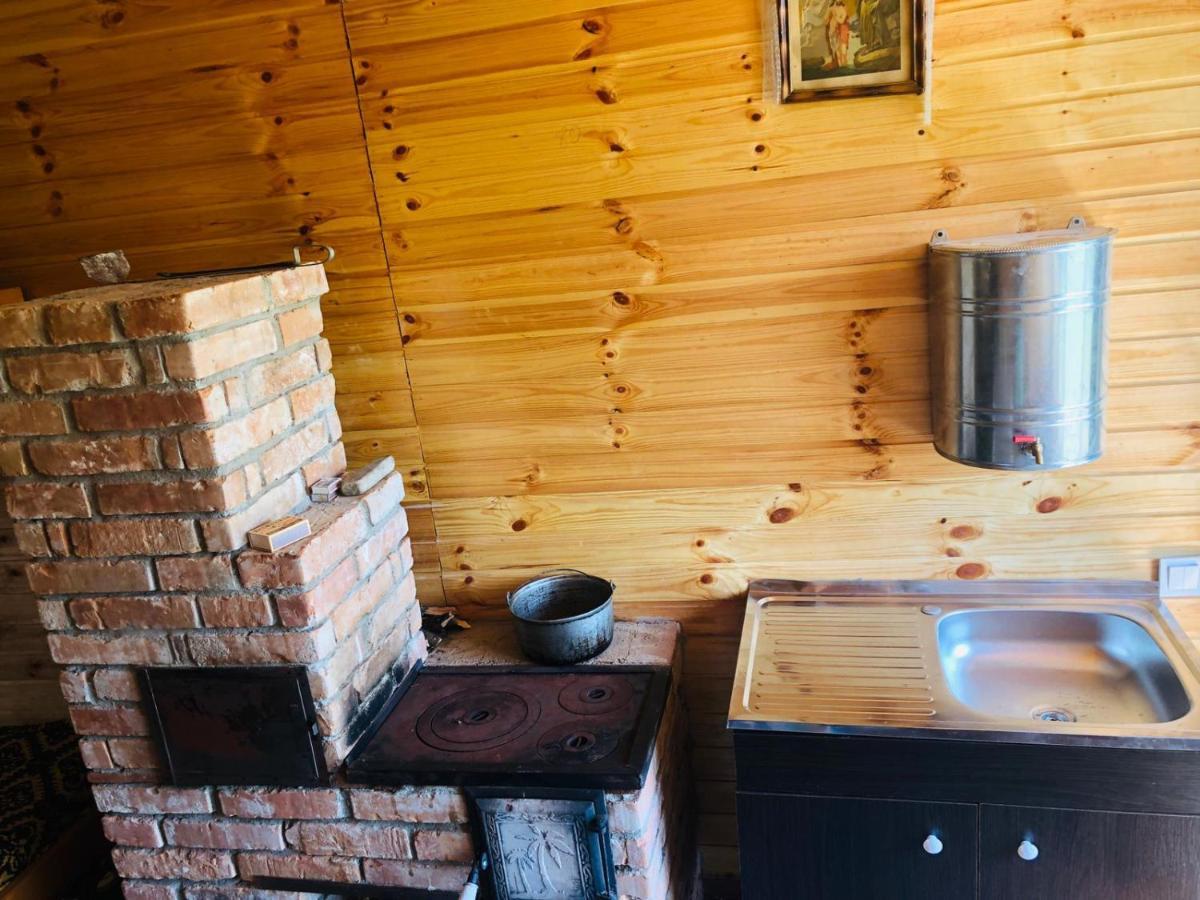 Отель La Container Куртя-де-Арджеш Экстерьер фото
