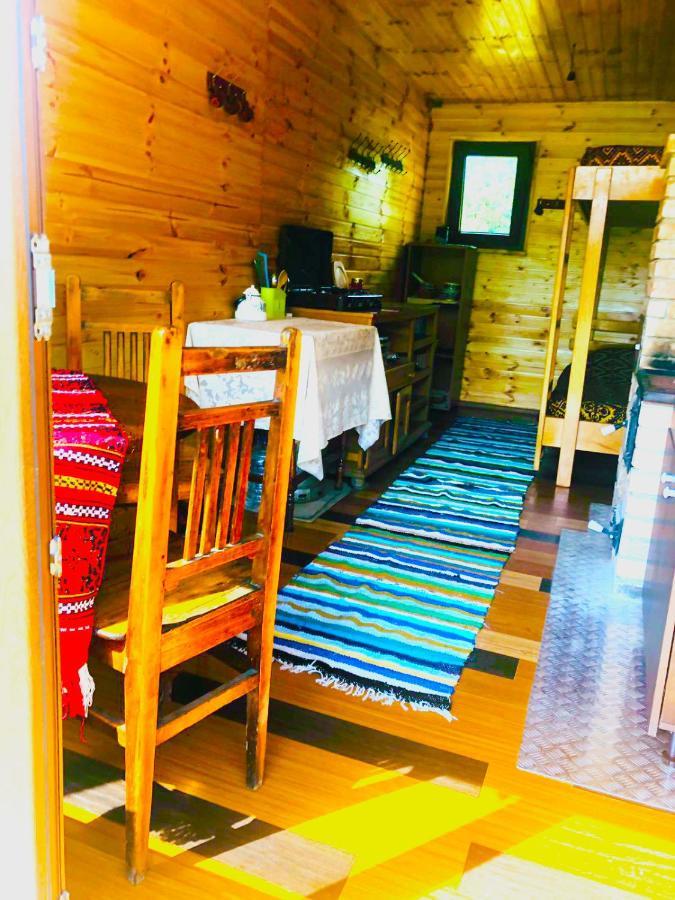 Отель La Container Куртя-де-Арджеш Экстерьер фото
